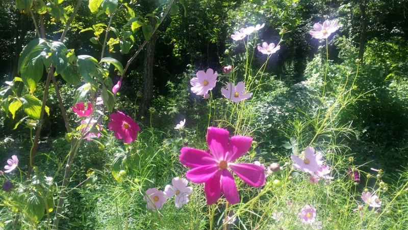 9월 산상기도회 _20150908_102235999.jpg