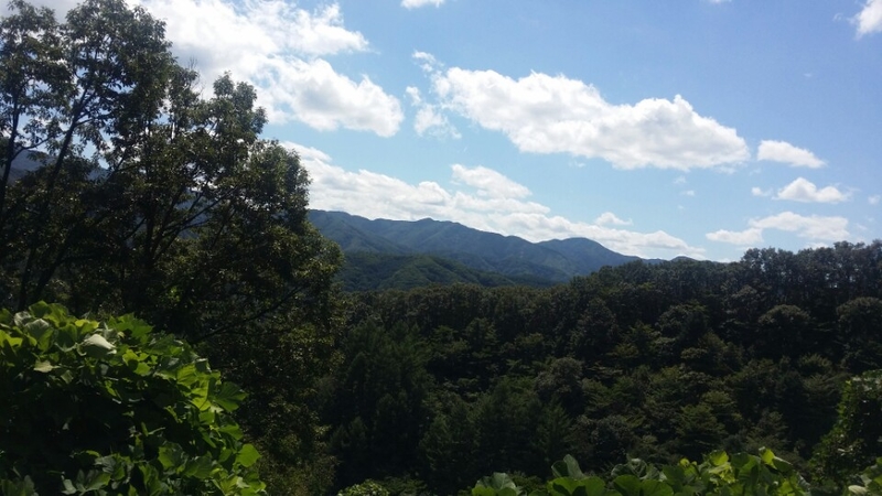 가평의 가을길목_20150908_102234330.jpg