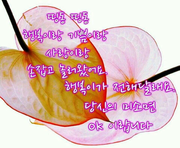 당신 미소_20150411_.jpg