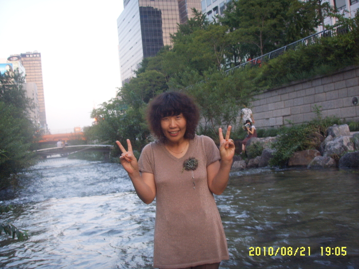 청계수위 해바라기.JPG